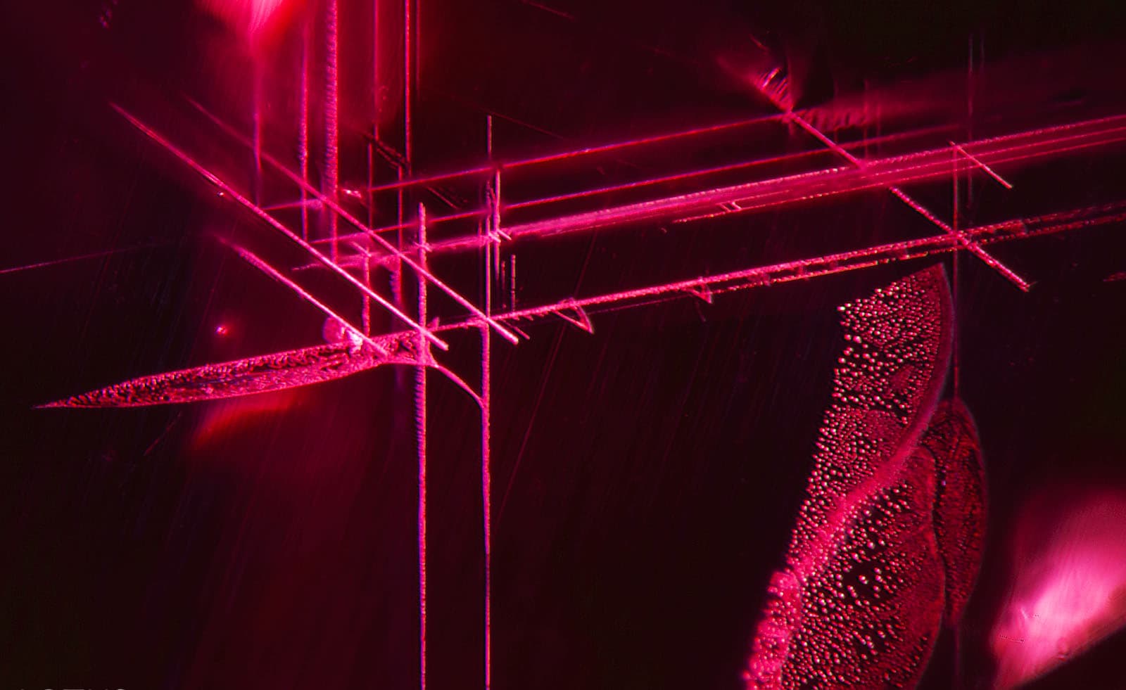 LGL Lanka Gem Lab - Red origin determination background